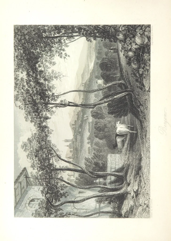 An illustration from Italy, illustrated and described, in a series of views from drawings by Stanfield, R.A., Roberts, R.A., Harding, Prout, Leitch, Brockedon, Barnard, &c. &c. With descriptions of the scenes. And an introductory essay. on the political, religious, and moral state of Italy. By Camillo Mapei [translated by David Dundas Scott] ... And a sketch of the history and progress of Italy during the last fifteen years, 1847-62, in continuation of Dr. Mapei's essay. By the Rev. Gavin Carlyle, 1864, leaf 552