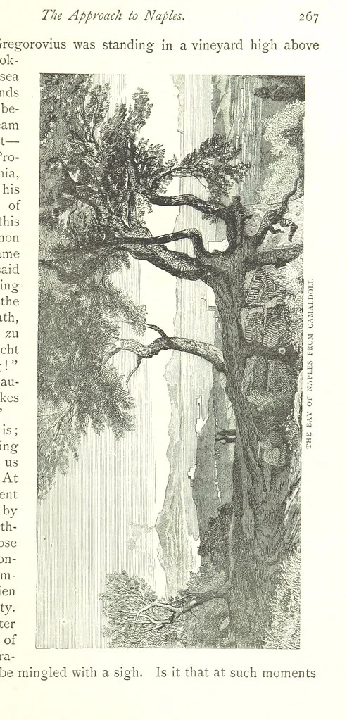 An illustration from Italy from the Alps to Mount Etna ... With ... illustrations, 1886, leaf 279