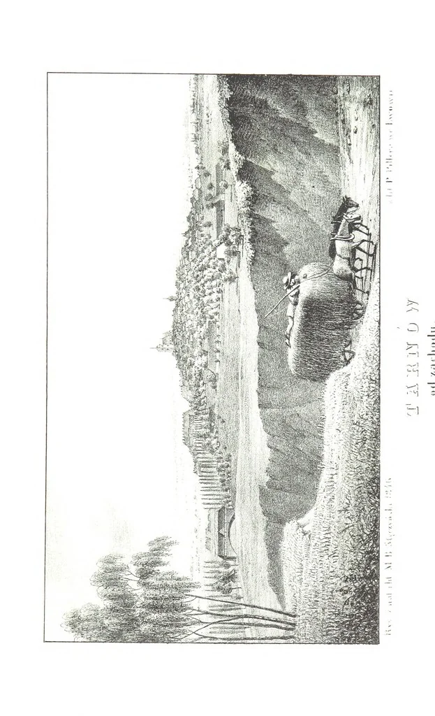 An illustration from Okolice Galicyi M. B. Stęczyńskiego. [88 lithographic views from drawings by M. B. Stęczyński, with descriptive letter-press to nos. 1-80 by K. J, 1847, leaf 105
