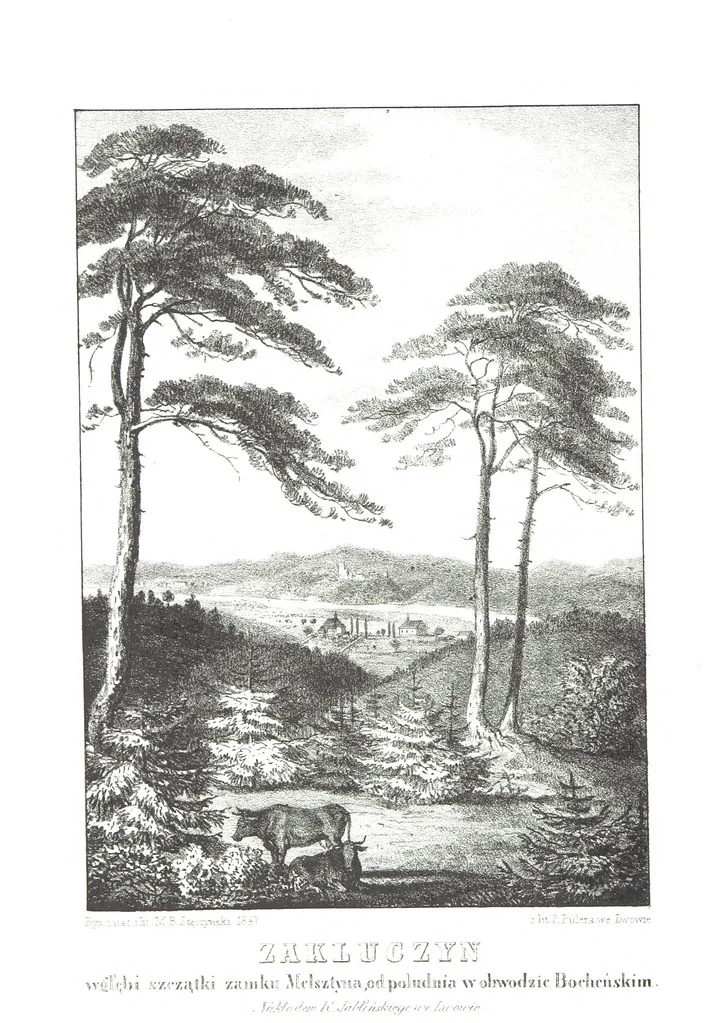 An illustration from Okolice Galicyi M. B. Stęczyńskiego. [88 lithographic views from drawings by M. B. Stęczyński, with descriptive letter-press to nos. 1-80 by K. J, 1847, leaf 164