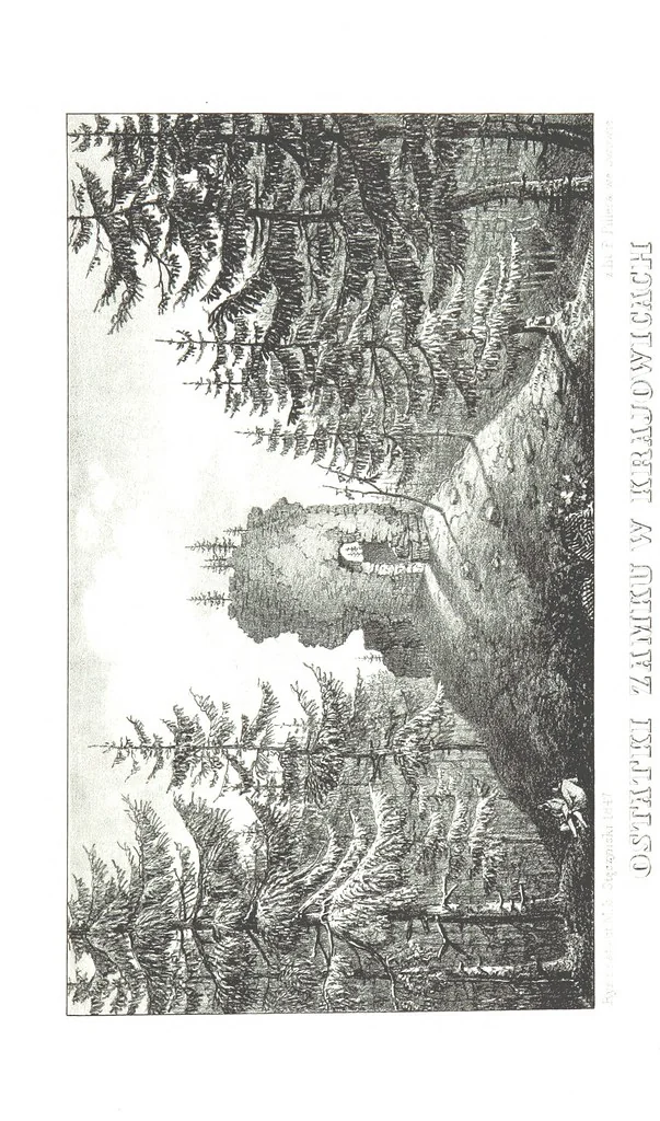 An illustration from Okolice Galicyi M. B. Stęczyńskiego. [88 lithographic views from drawings by M. B. Stęczyński, with descriptive letter-press to nos. 1-80 by K. J, 1847, leaf 169