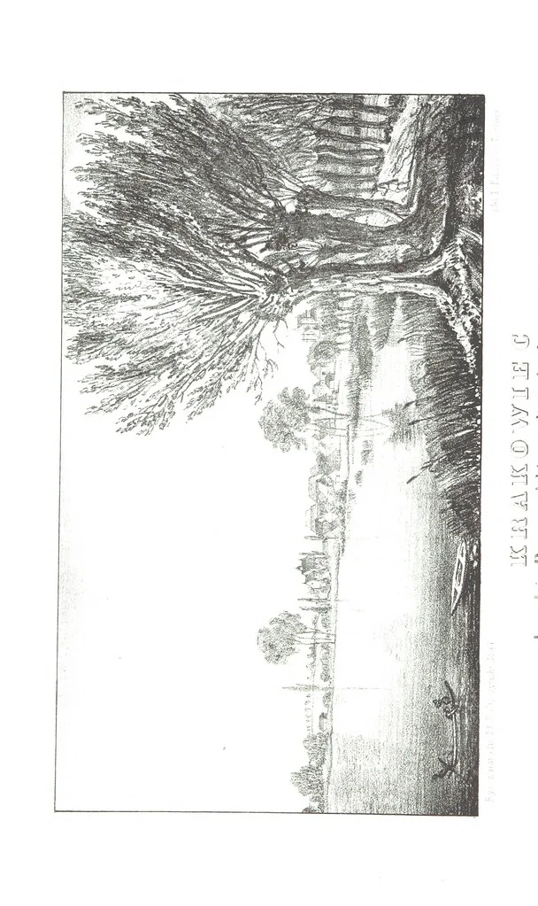 An illustration from Okolice Galicyi M. B. Stęczyńskiego. [88 lithographic views from drawings by M. B. Stęczyński, with descriptive letter-press to nos. 1-80 by K. J, 1847, leaf 216