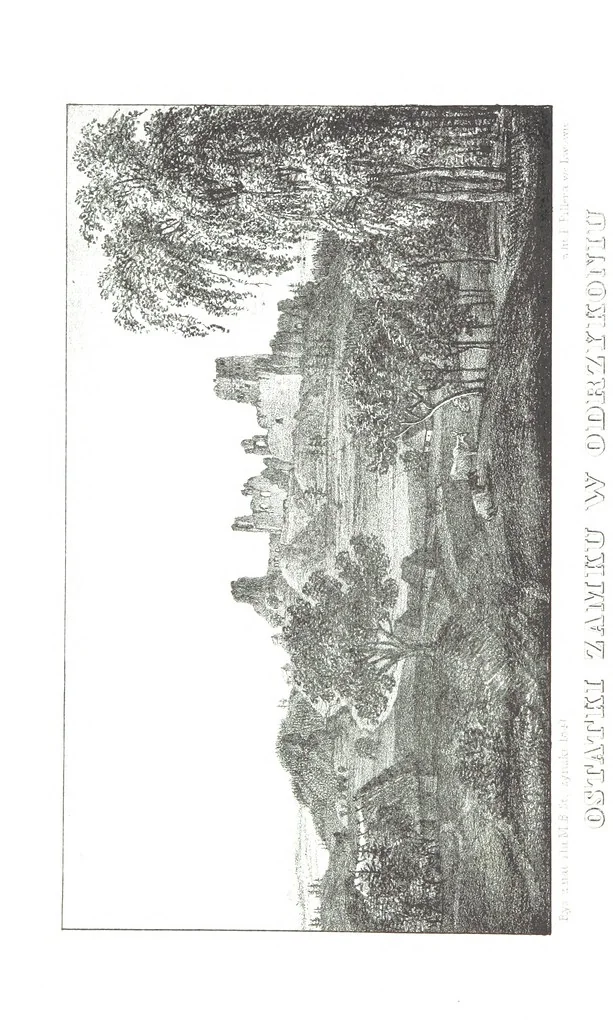 An illustration from Okolice Galicyi M. B. Stęczyńskiego. [88 lithographic views from drawings by M. B. Stęczyński, with descriptive letter-press to nos. 1-80 by K. J, 1847, leaf 220