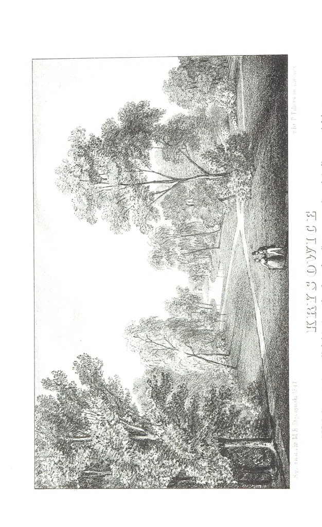 An illustration from Okolice Galicyi M. B. Stęczyńskiego. [88 lithographic views from drawings by M. B. Stęczyński, with descriptive letter-press to nos. 1-80 by K. J, 1847, leaf 228