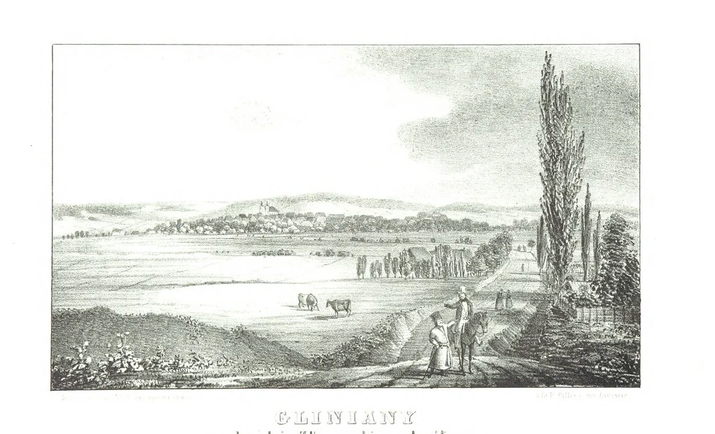 An illustration from Okolice Galicyi M. B. Stęczyńskiego. [88 lithographic views from drawings by M. B. Stęczyński, with descriptive letter-press to nos. 1-80 by K. J, 1847, leaf 278