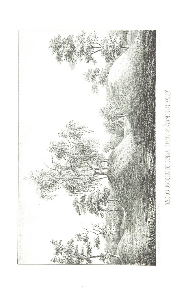 An illustration from Okolice Galicyi M. B. Stęczyńskiego. [88 lithographic views from drawings by M. B. Stęczyński, with descriptive letter-press to nos. 1-80 by K. J, 1847, leaf 282