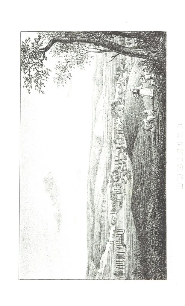 An illustration from Okolice Galicyi M. B. Stęczyńskiego. [88 lithographic views from drawings by M. B. Stęczyński, with descriptive letter-press to nos. 1-80 by K. J, 1847, leaf 332