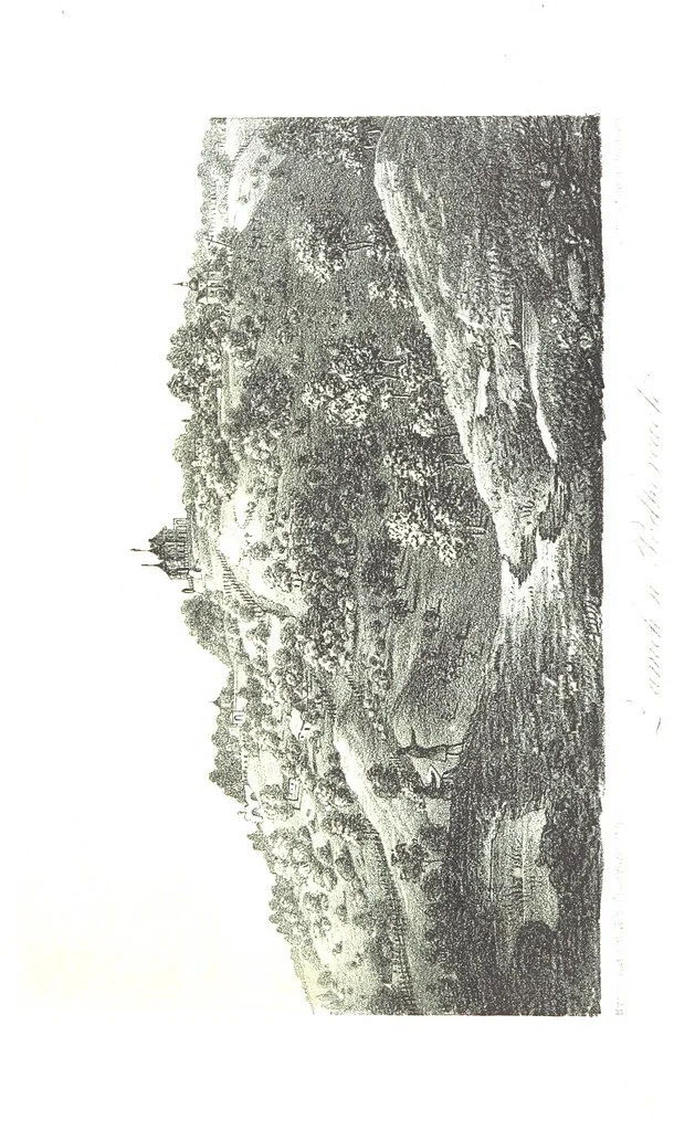 An illustration from Okolice Galicyi M. B. Stęczyńskiego. [88 lithographic views from drawings by M. B. Stęczyński, with descriptive letter-press to nos. 1-80 by K. J, 1847, leaf 358