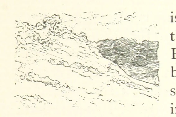 An illustration from On the Trail of Don Quixote: being a record of rambles in the ancient province of La Mancha ... Illustrated by D. Vierge, 1897, leaf 111