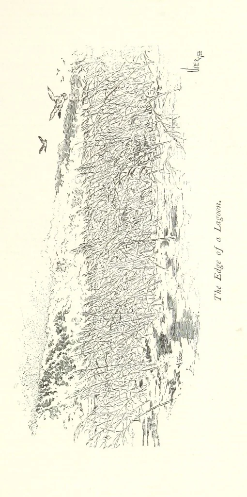 An illustration from On the Trail of Don Quixote: being a record of rambles in the ancient province of La Mancha ... Illustrated by D. Vierge, 1897, leaf 117