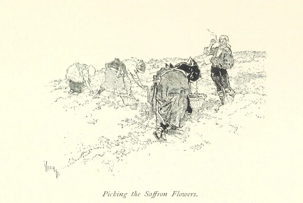 An illustration from On the Trail of Don Quixote: being a record of rambles in the ancient province of La Mancha ... Illustrated by D. Vierge, 1897, leaf 203