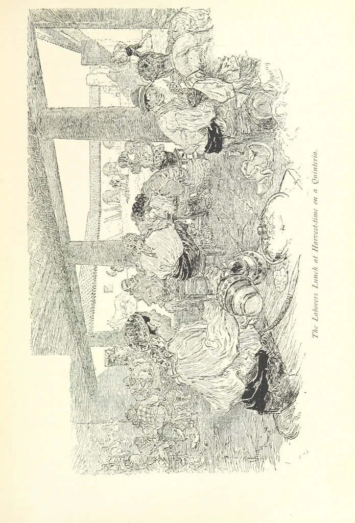 An illustration from On the Trail of Don Quixote: being a record of rambles in the ancient province of La Mancha ... Illustrated by D. Vierge, 1897, leaf 205