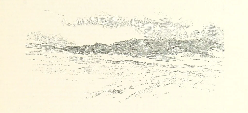 An illustration from On the Trail of Don Quixote: being a record of rambles in the ancient province of La Mancha ... Illustrated by D. Vierge, 1897, leaf 211