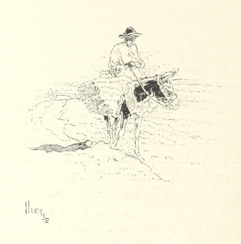 An illustration from On the Trail of Don Quixote: being a record of rambles in the ancient province of La Mancha ... Illustrated by D. Vierge, 1897, leaf 242