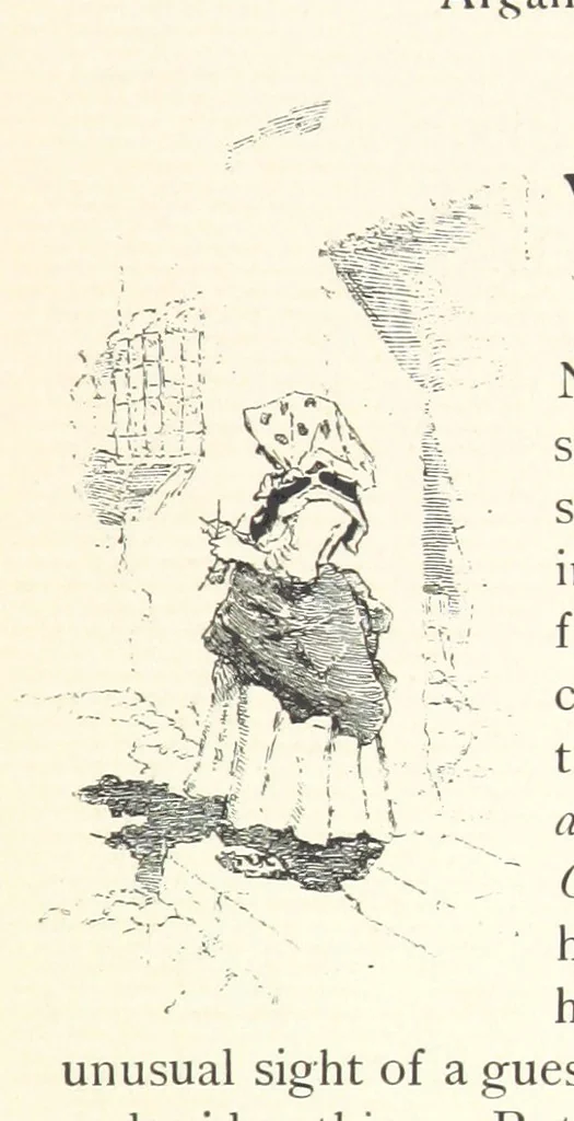 An illustration from On the Trail of Don Quixote: being a record of rambles in the ancient province of La Mancha ... Illustrated by D. Vierge, 1897, leaf 51