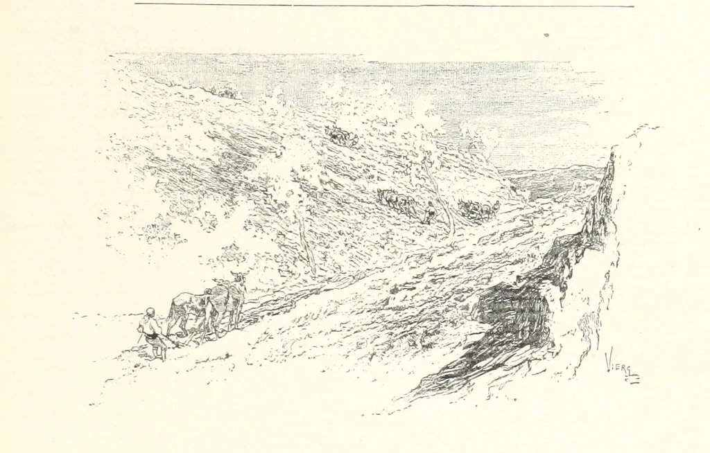 An illustration from On the Trail of Don Quixote: being a record of rambles in the ancient province of La Mancha ... Illustrated by D. Vierge, 1897, leaf 91
