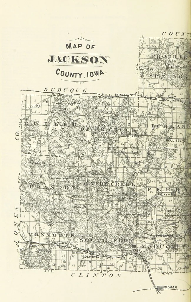 An illustration from The History of Jackson County, Iowa ... Illustrated, 1879, leaf 14