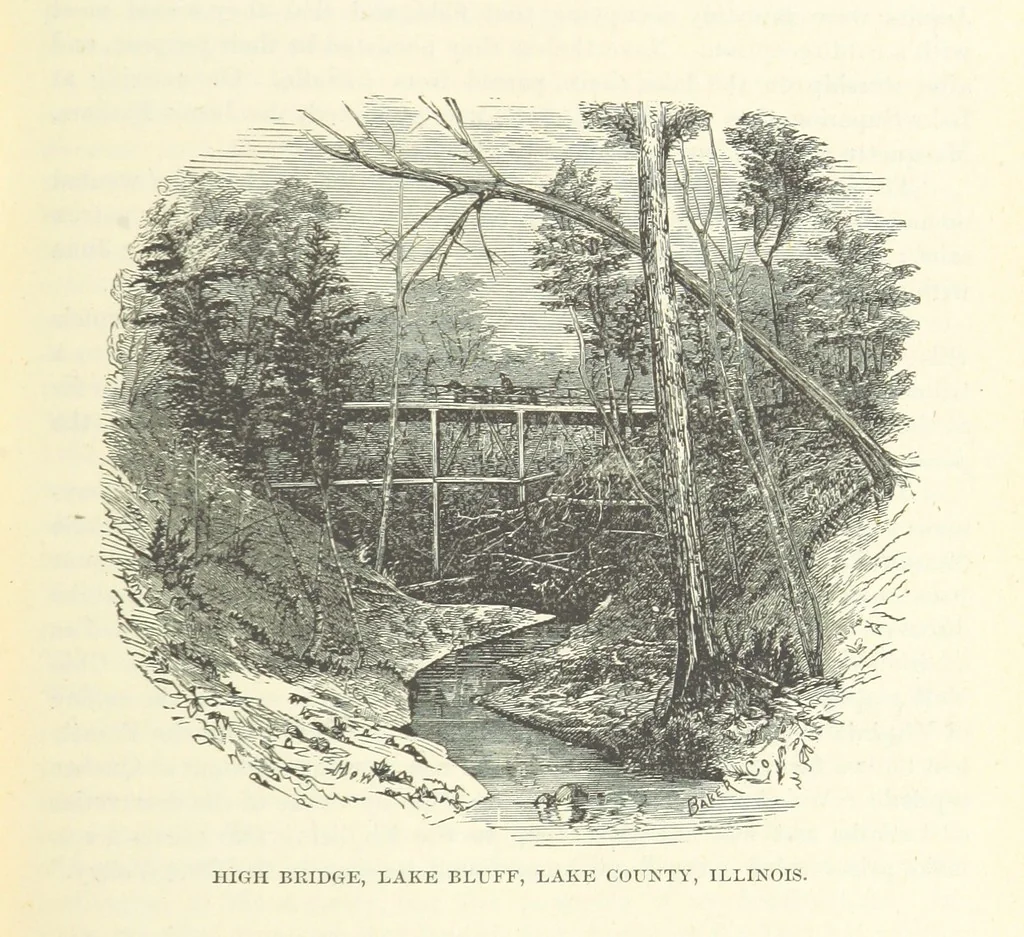 An illustration from The History of Jackson County, Iowa ... Illustrated, 1879, leaf 31