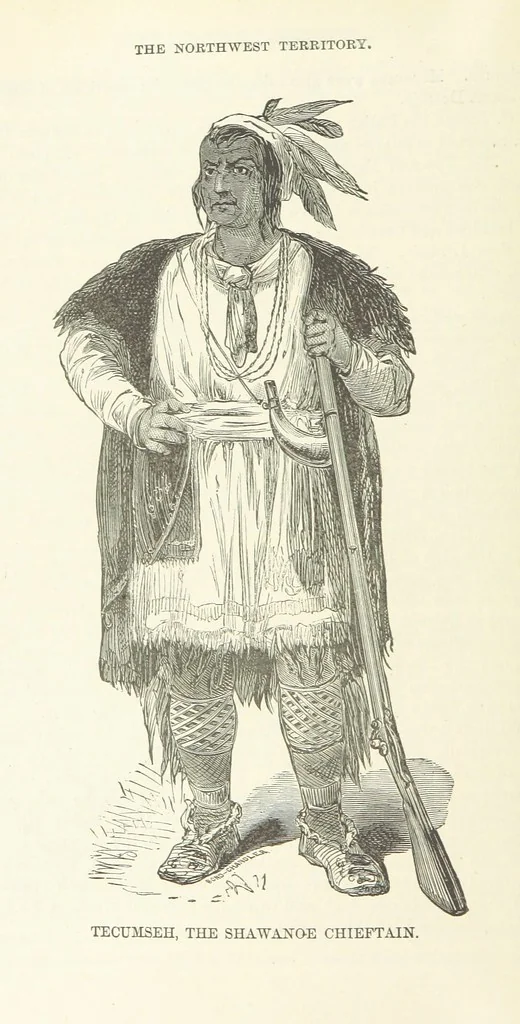 An illustration from The History of Jackson County, Iowa ... Illustrated, 1879, leaf 66
