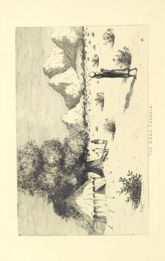 An illustration from The Wild Tribes of the Soudan. An account of travel and sport, chiefly in the Basé country, etc, 1883, leaf 104
