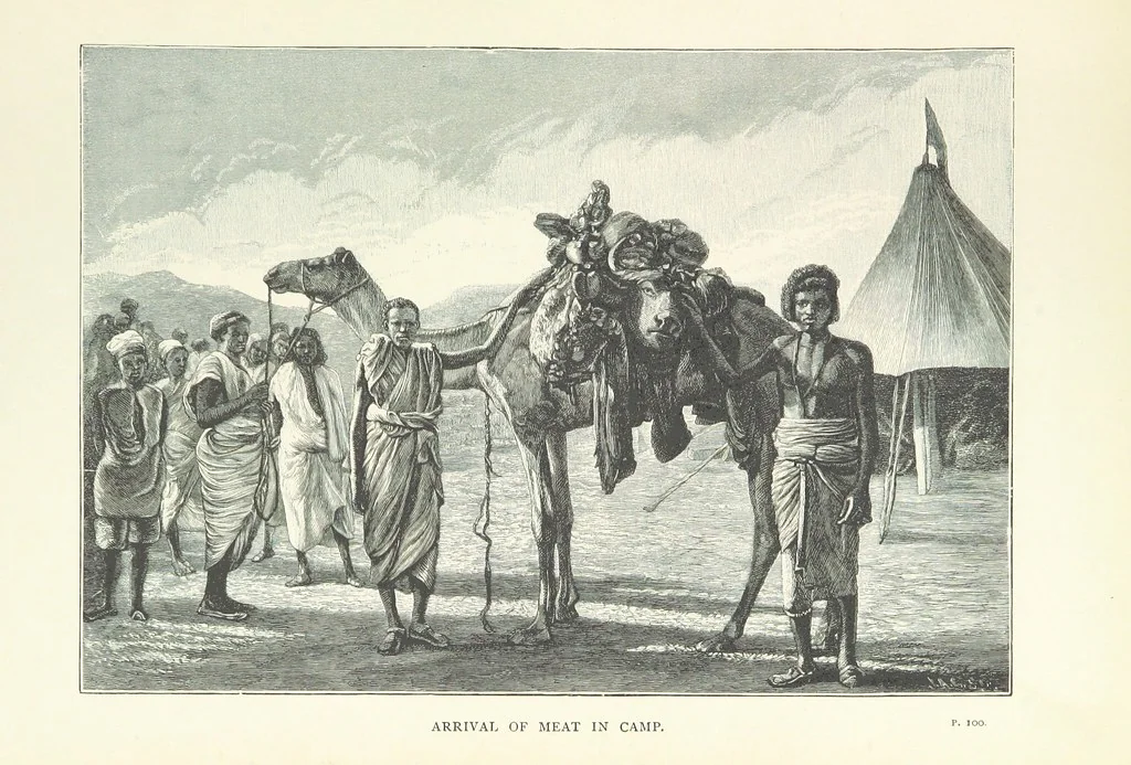 An illustration from The Wild Tribes of the Soudan. An account of travel and sport, chiefly in the Basé country, etc, 1883, leaf 159
