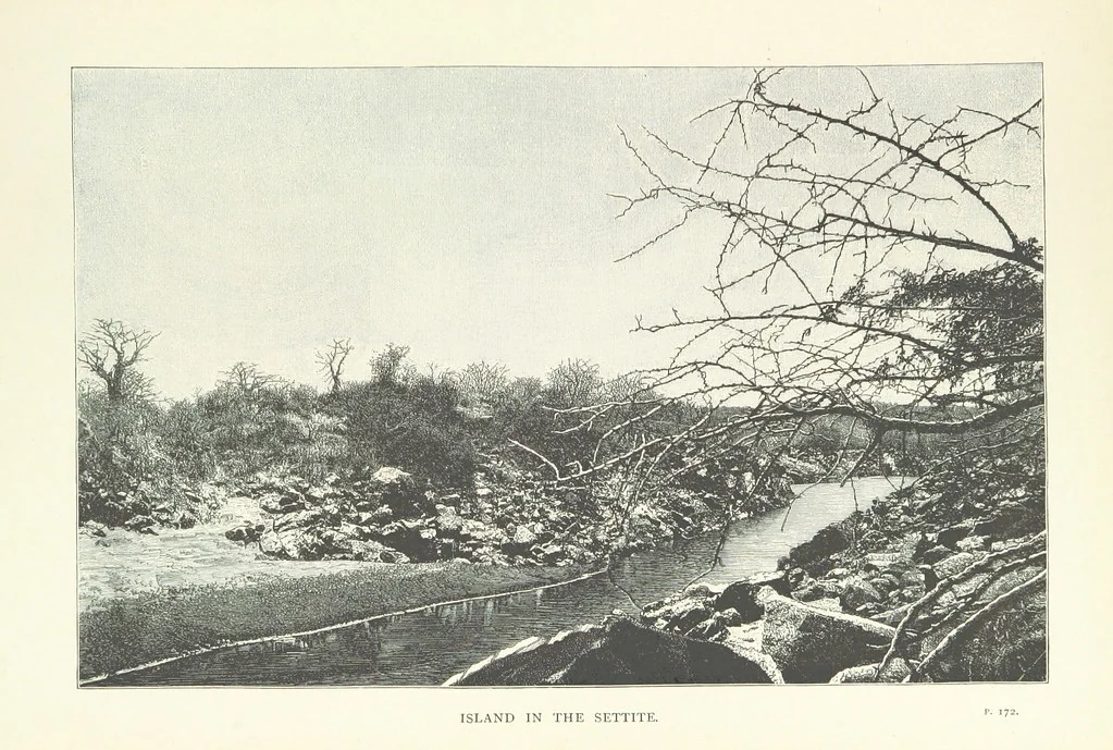 An illustration from The Wild Tribes of the Soudan. An account of travel and sport, chiefly in the Basé country, etc, 1883, leaf 259