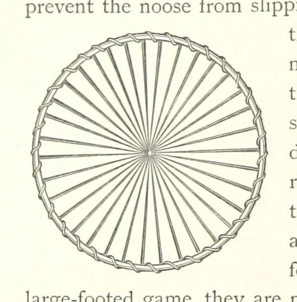 An illustration from The Wild Tribes of the Soudan. An account of travel and sport, chiefly in the Basé country, etc, 1883, leaf 266
