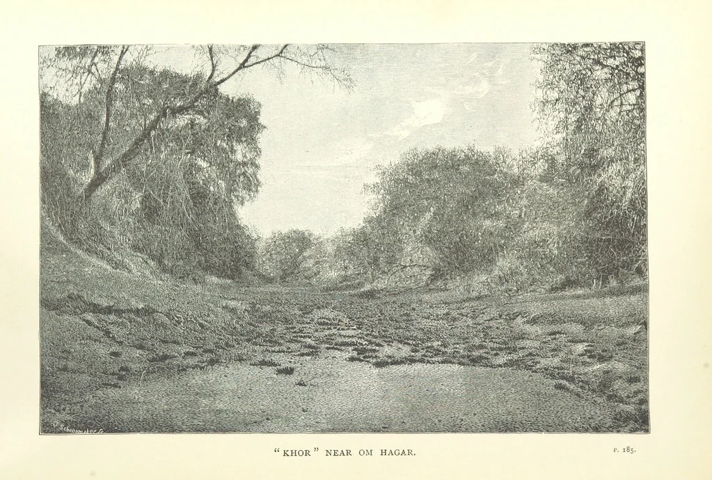 An illustration from The Wild Tribes of the Soudan. An account of travel and sport, chiefly in the Basé country, etc, 1883, leaf 282