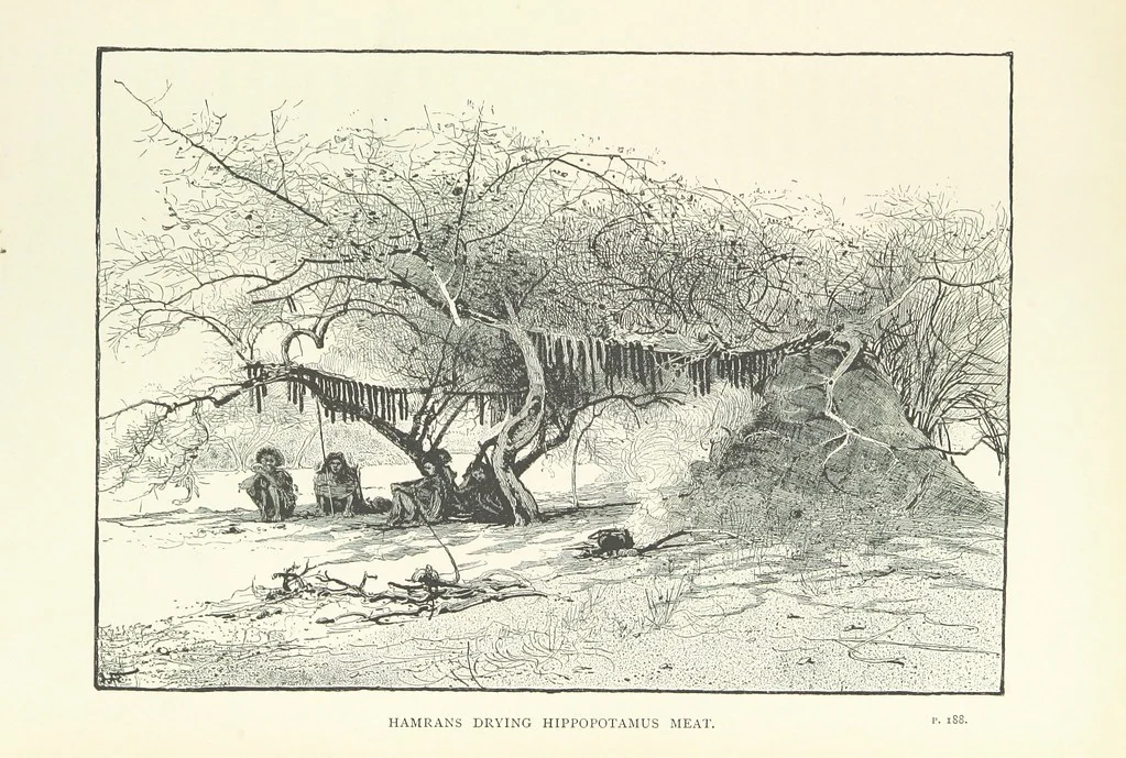 An illustration from The Wild Tribes of the Soudan. An account of travel and sport, chiefly in the Basé country, etc, 1883, leaf 287