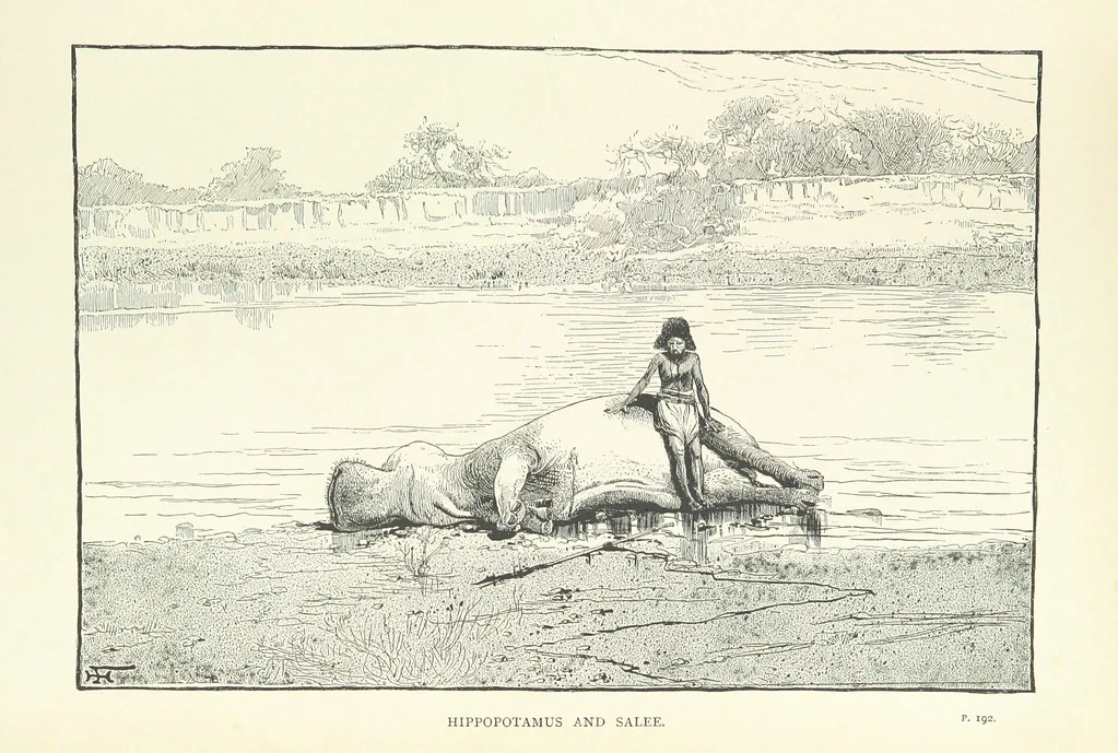 An illustration from The Wild Tribes of the Soudan. An account of travel and sport, chiefly in the Basé country, etc, 1883, leaf 293