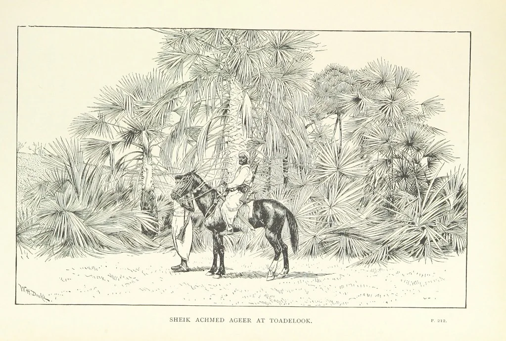 An illustration from The Wild Tribes of the Soudan. An account of travel and sport, chiefly in the Basé country, etc, 1883, leaf 319
