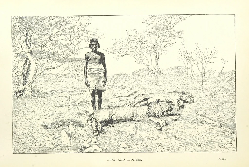 An illustration from The Wild Tribes of the Soudan. An account of travel and sport, chiefly in the Basé country, etc, 1883, leaf 328