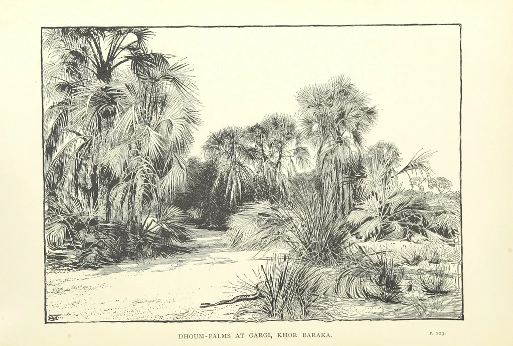 An illustration from The Wild Tribes of the Soudan. An account of travel and sport, chiefly in the Basé country, etc, 1883, leaf 344