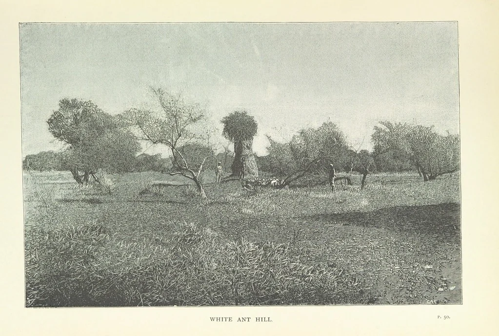 An illustration from The Wild Tribes of the Soudan. An account of travel and sport, chiefly in the Basé country, etc, 1883, leaf 91