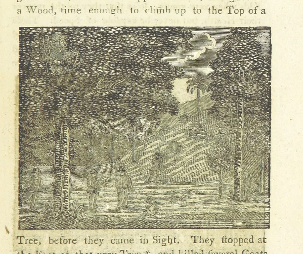 An illustration from Providence Displayed: or, the remarkable adventures of Alexander Selkirk, who lived four years and four months by himself, on the island of Juan Fernandez ... To which is added a supplement, containing the history of P. Serrano, E. How, and others left in similar situations, 1800, leaf 105