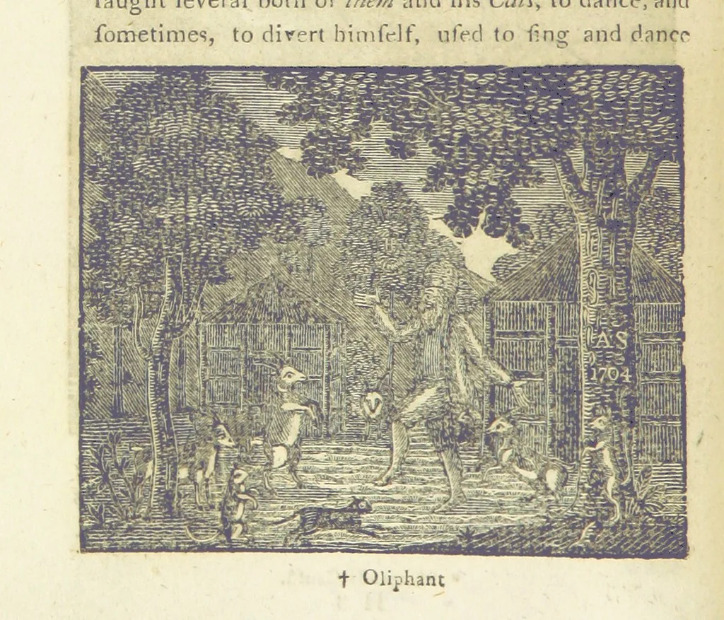 An illustration from Providence Displayed: or, the remarkable adventures of Alexander Selkirk, who lived four years and four months by himself, on the island of Juan Fernandez ... To which is added a supplement, containing the history of P. Serrano, E. How, and others left in similar situations, 1800, leaf 106