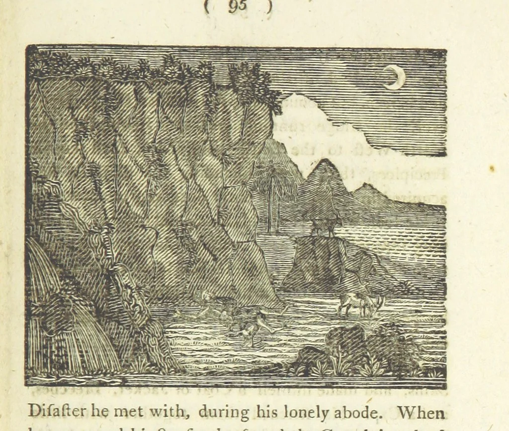 An illustration from Providence Displayed: or, the remarkable adventures of Alexander Selkirk, who lived four years and four months by himself, on the island of Juan Fernandez ... To which is added a supplement, containing the history of P. Serrano, E. How, and others left in similar situations, 1800, leaf 111