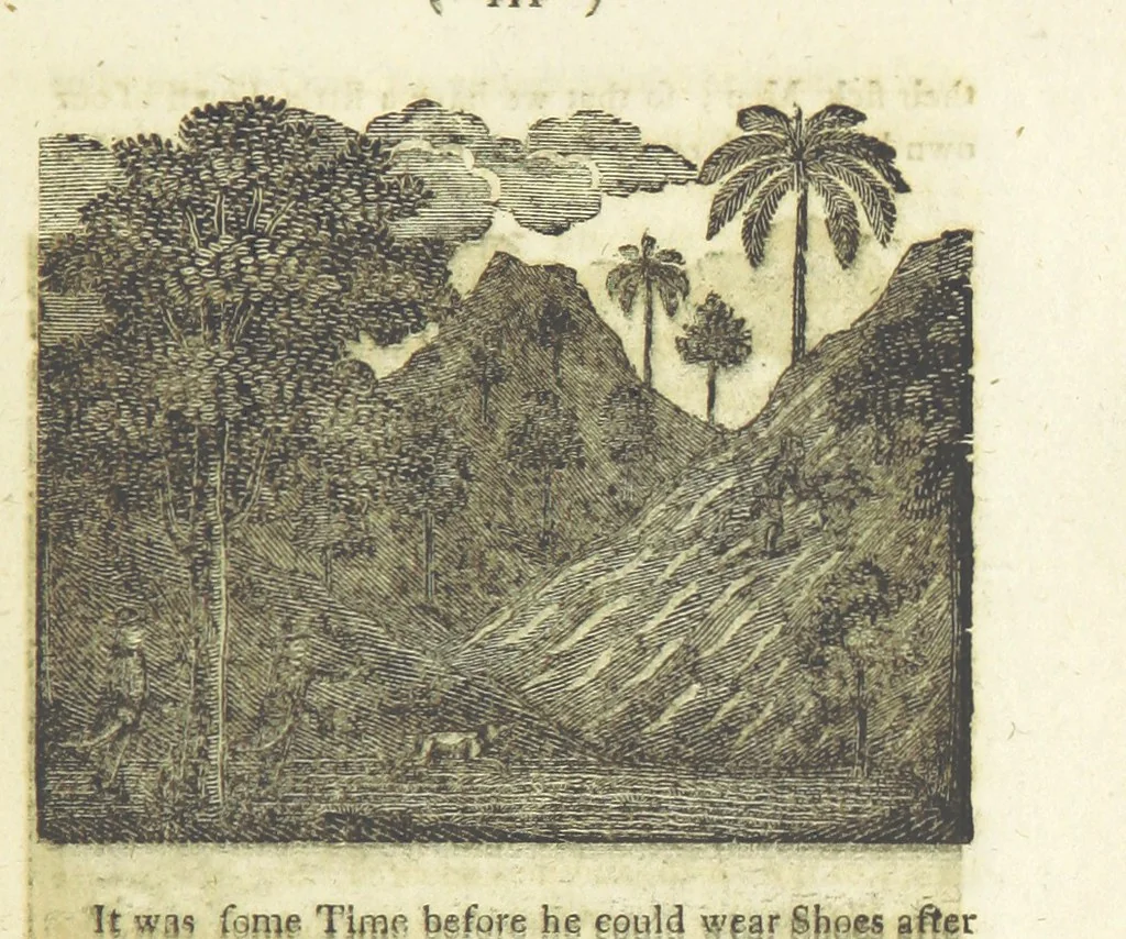 An illustration from Providence Displayed: or, the remarkable adventures of Alexander Selkirk, who lived four years and four months by himself, on the island of Juan Fernandez ... To which is added a supplement, containing the history of P. Serrano, E. How, and others left in similar situations, 1800, leaf 127