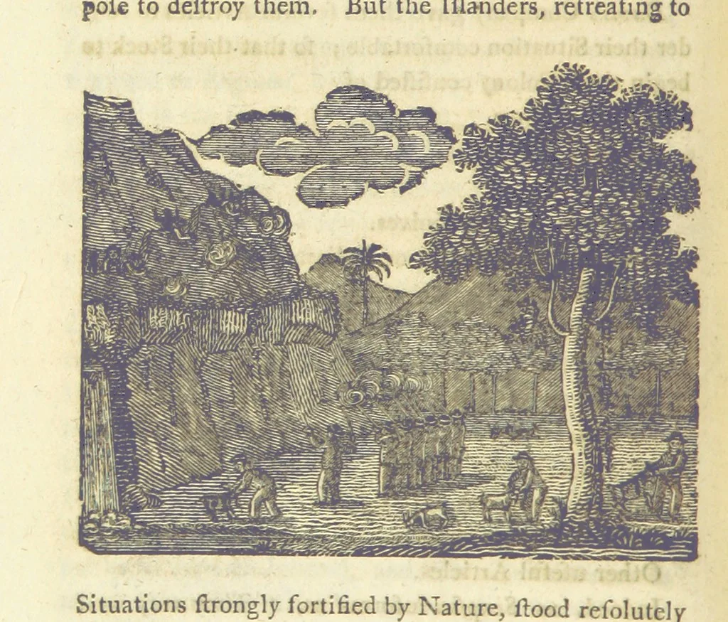 An illustration from Providence Displayed: or, the remarkable adventures of Alexander Selkirk, who lived four years and four months by himself, on the island of Juan Fernandez ... To which is added a supplement, containing the history of P. Serrano, E. How, and others left in similar situations, 1800, leaf 38