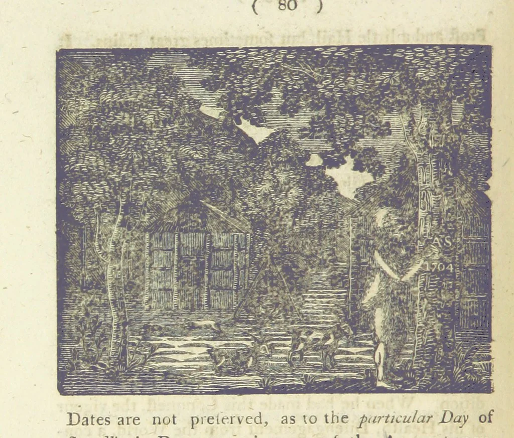 An illustration from Providence Displayed: or, the remarkable adventures of Alexander Selkirk, who lived four years and four months by himself, on the island of Juan Fernandez ... To which is added a supplement, containing the history of P. Serrano, E. How, and others left in similar situations, 1800, leaf 96