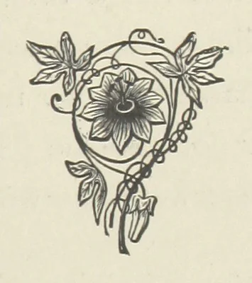 An illustration from The Dewy Morn. A novel, 1884, leaf 219