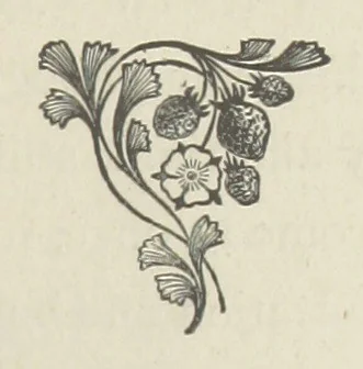 An illustration from The Dewy Morn. A novel, 1884, leaf 23