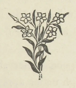 An illustration from The Dewy Morn. A novel, 1884, leaf 73