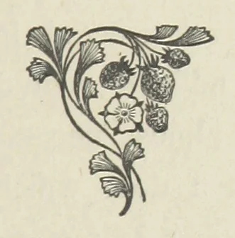 An illustration from The Dewy Morn. A novel, 1884, leaf 25