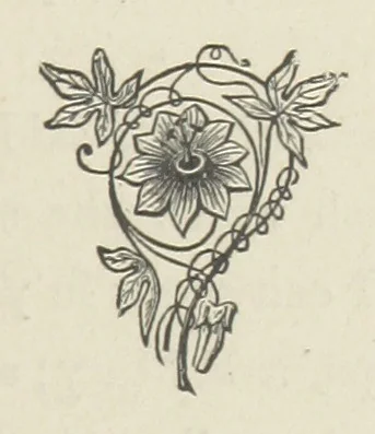 An illustration from The Dewy Morn. A novel, 1884, leaf 45