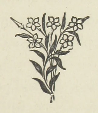 An illustration from The Dewy Morn. A novel, 1884, leaf 63