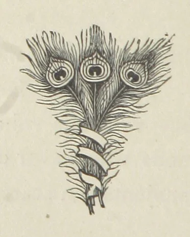 An illustration from The Dewy Morn. A novel, 1884, leaf 72