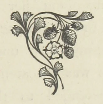 An illustration from The Dewy Morn. A novel, 1884, leaf 95