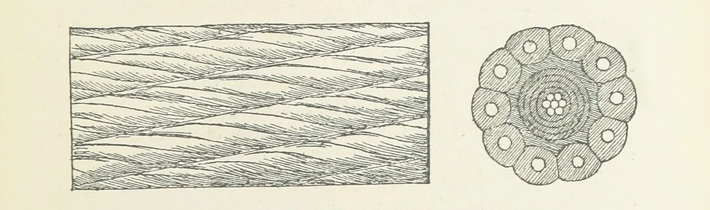 An illustration from Papers literary, scientific, &c. ... Edited by Sidney Colvin ... and J. A. Ewing ... With a memoir by R. L. Stevenson, 1887, leaf 231