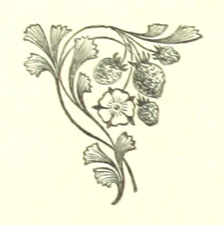 An illustration from The Red Rag. A novel, 1881, leaf 154